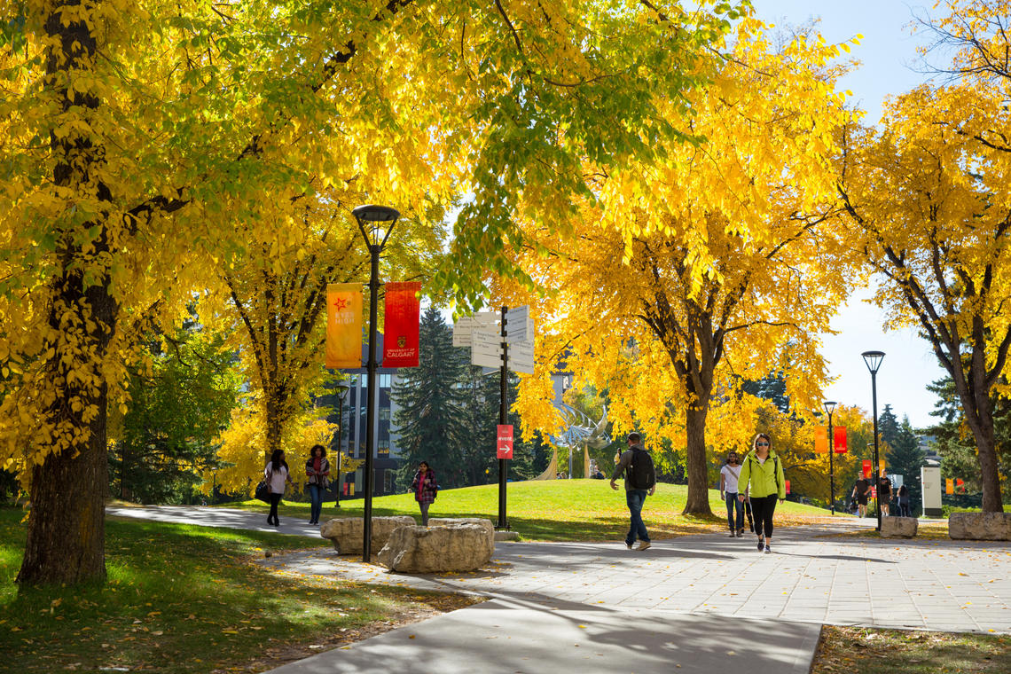 Students' Greatest Needs UCalgary Campus