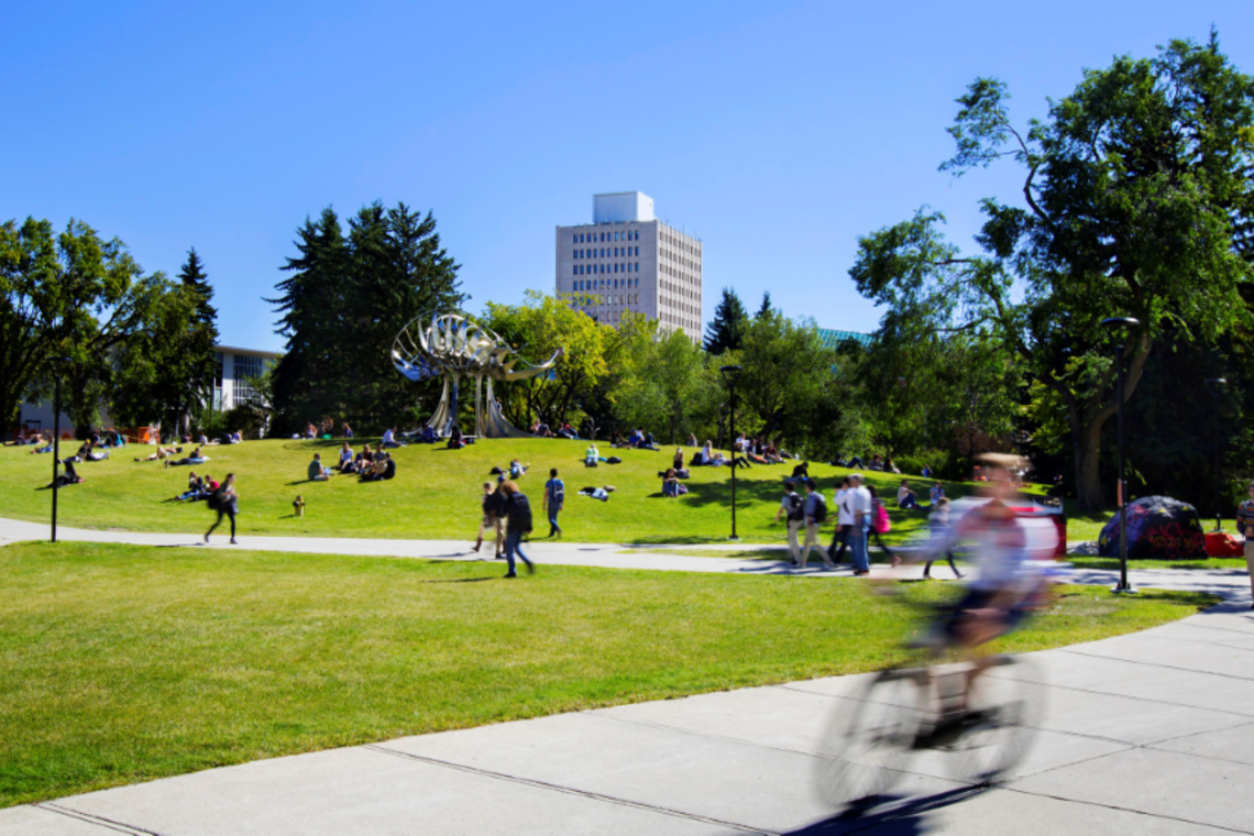 Campus Mental Health Greatest Needs